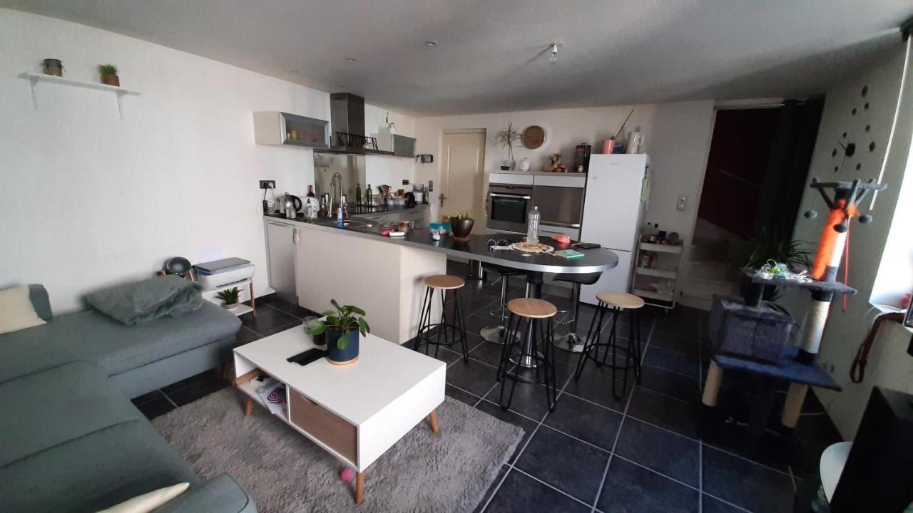 Agreable Maison De Village, Au Calme D'Une Impasse Aubière المظهر الخارجي الصورة